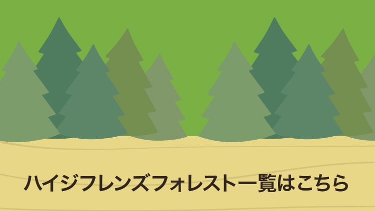 ハイジフレンズフォレストコンテンツ（通常）｜フェイラー公式
