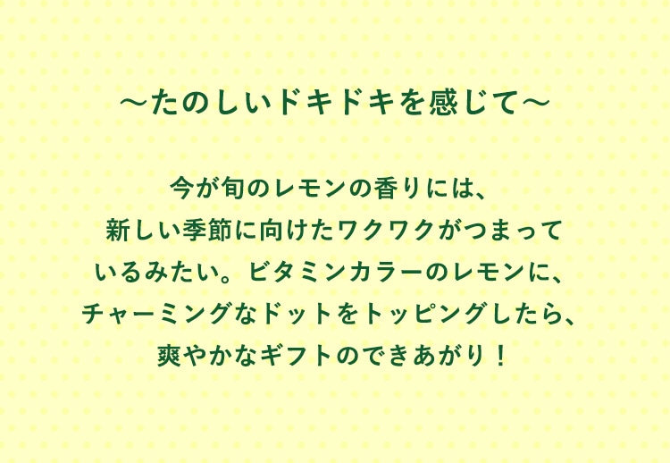 レモンドットコンテンツ｜フェイラー公式オンラインショップ FEILER