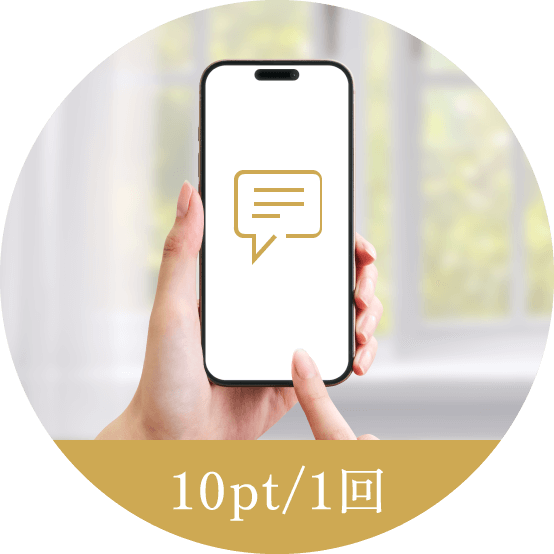 レビユー投稿 10pt/1回