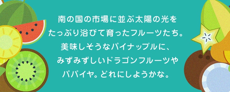 トロピカルマーケットコンテンツ｜フェイラー公式オンラインショップ